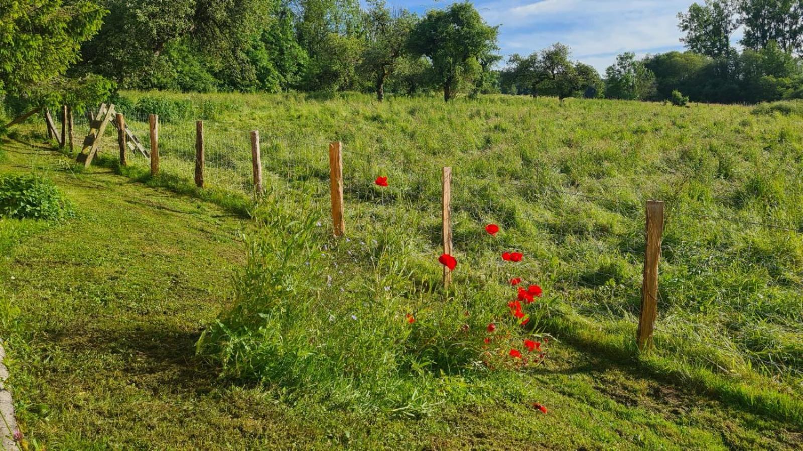 Appartamento Sous Le Saule Nods Esterno foto