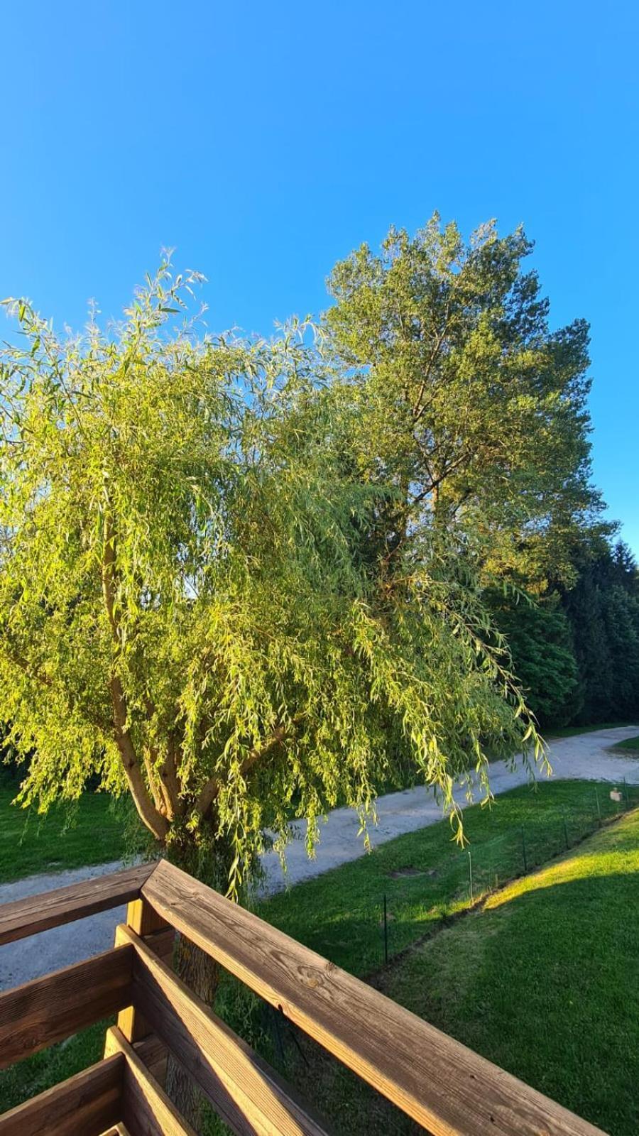 Appartamento Sous Le Saule Nods Esterno foto