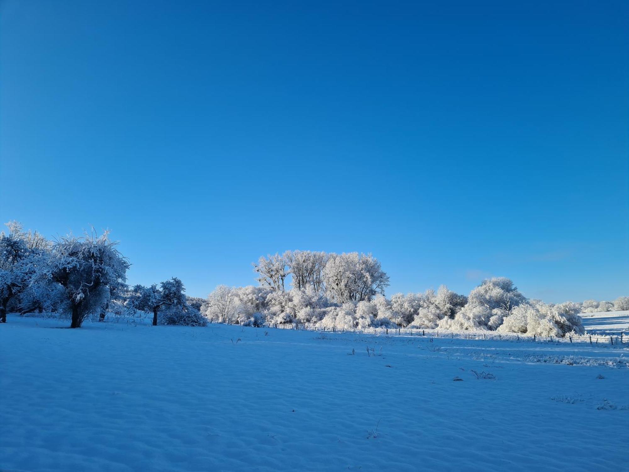 Appartamento Sous Le Saule Nods Esterno foto