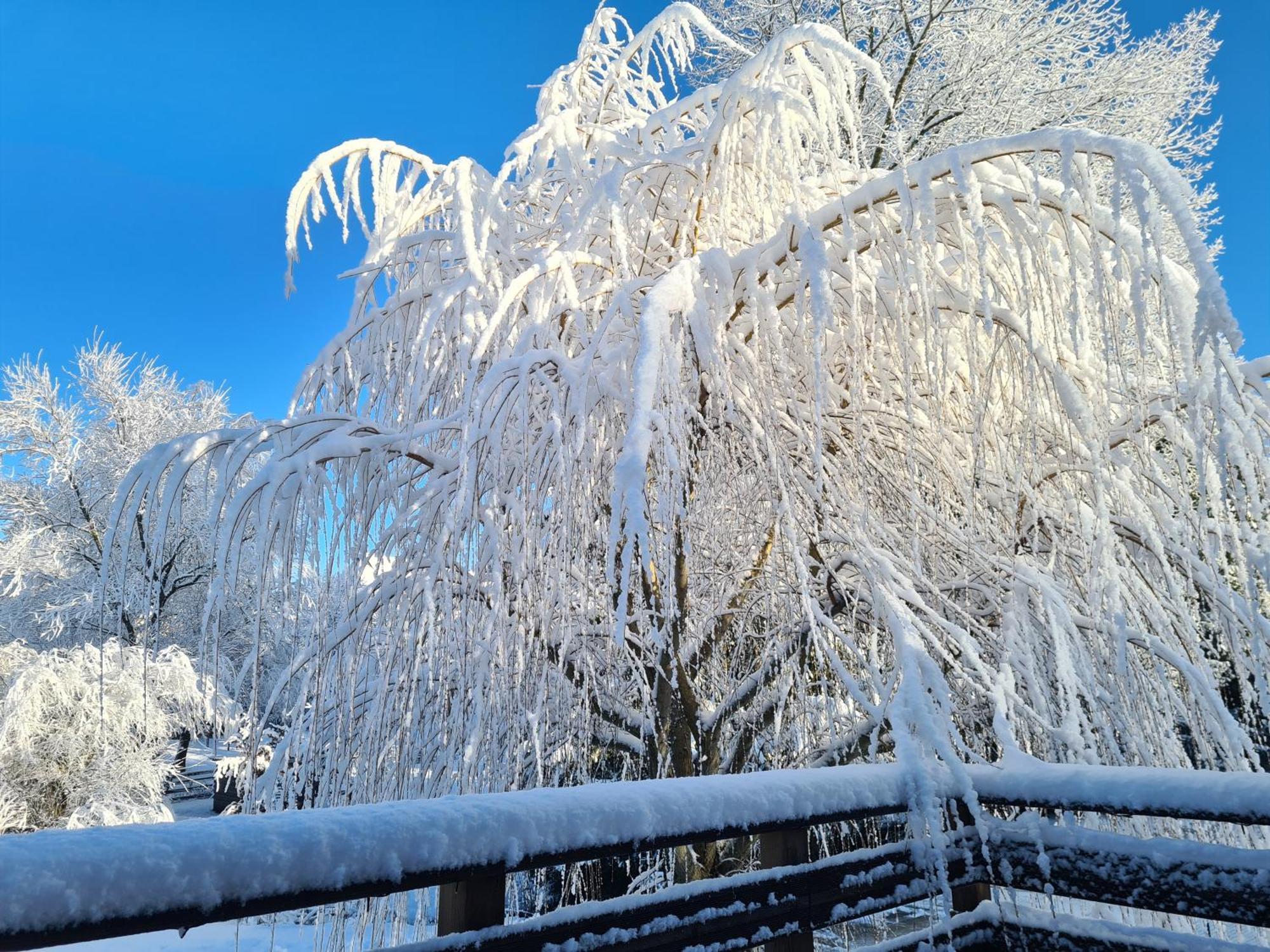 Appartamento Sous Le Saule Nods Esterno foto